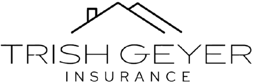 Trish Geyer Agency